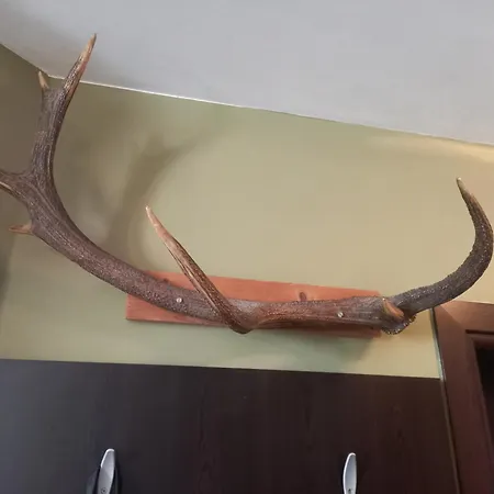 Location Μπάνσκο