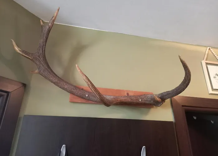 Location Μπάνσκο